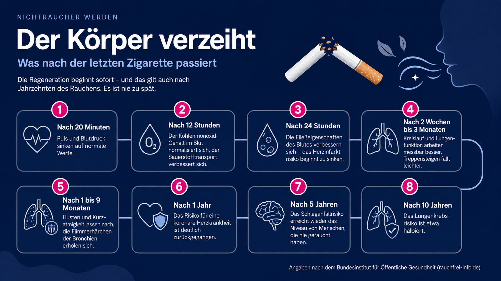 Der Körper verzeiht – Zeitstrahl der körperlichen Erholung nach dem Rauchstopp: Nach 20 Minuten sinken Puls und Blutdruck. Nach 12 Stunden normalisiert sich der Kohlenmonoxid-Gehalt im Blut. Nach 24 Stunden beginnt das Herzinfarktrisiko zu sinken. Nach 2 Wochen bis 3 Monaten arbeiten Kreislauf und Lungenfunktion messbar besser. Nach 1 bis 9 Monaten lassen Husten und Kurzatmigkeit nach. Nach 1 Jahr ist das Risiko einer koronaren Herzkrankheit deutlich zurückgegangen. Nach 5 Jahren erreicht das Schlaganfallrisiko wieder das Niveau von Nichtrauchern. Nach 10 Jahren ist das Lungenkrebsrisiko etwa halbiert. Quelle: Bundesinstitut für Öffentliche Gesundheit, rauchfrei-info.de.