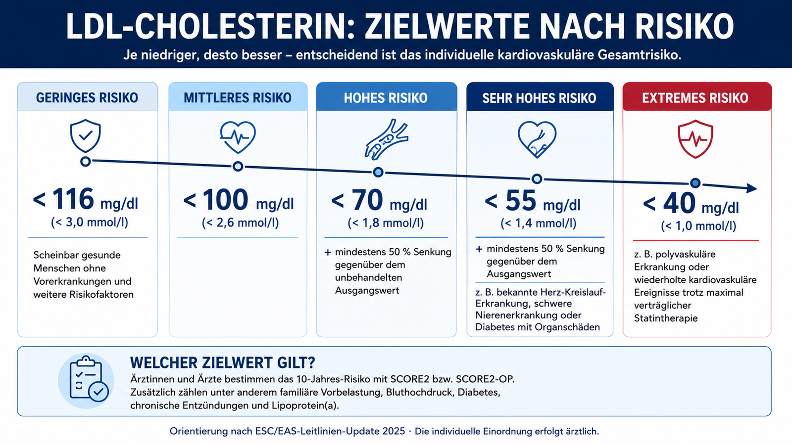 LDL-Cholesterin: Zielwerte nach Risiko – von unter 116 mg/dl bei geringem Risiko bis unter 40 mg/dl bei extremem Risiko